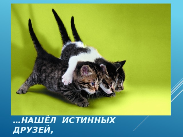 … нашёл истинных друзей, 
