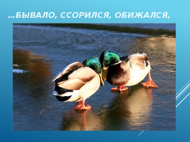 … бывало, ссорился, обижался,  