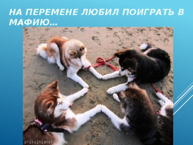 НА ПЕРЕМЕНЕ ЛЮБИЛ ПОИГРАТЬ В МАФИЮ… 