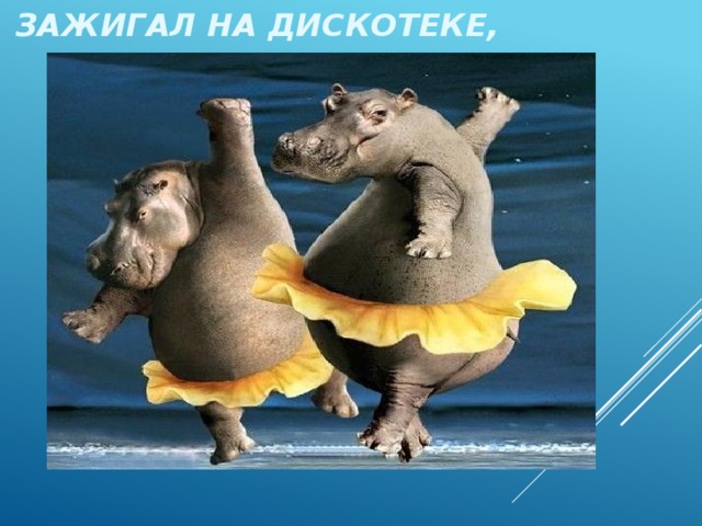зажигал на дискотеке, 