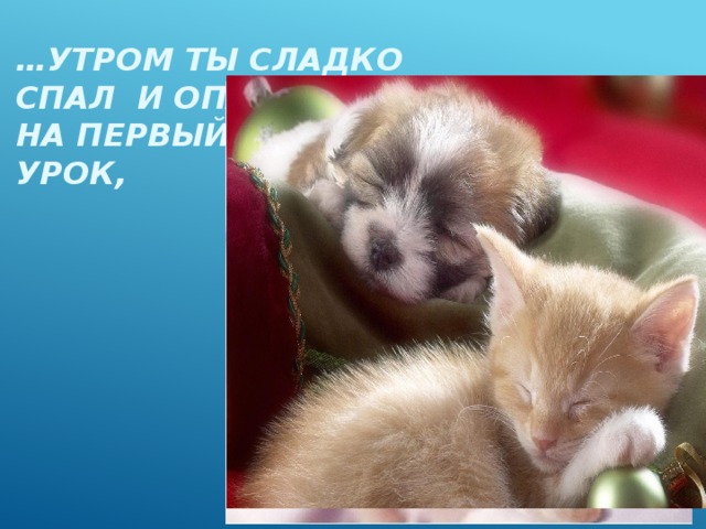 … утром ты сладко спал и опаздывал  на первый  урок, 