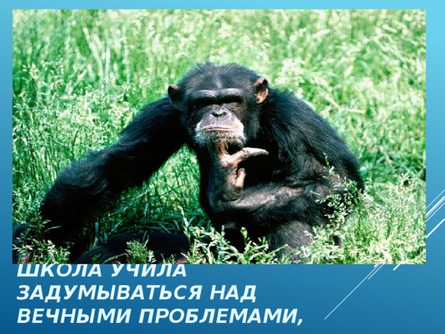 Школа учила задумываться над вечными проблемами, 