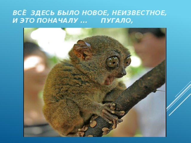 Всё здесь было новое, неизвестное, и это поначалу ... пугало, 