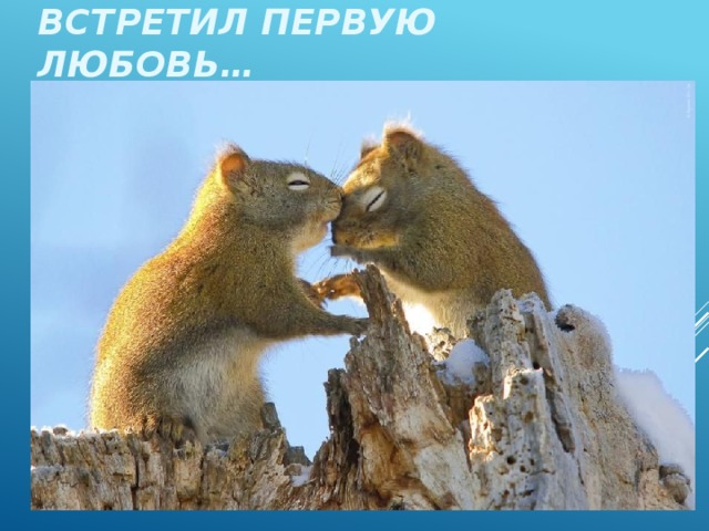 ВСТРЕТИЛ ПЕРВУЮ ЛЮБОВЬ… 