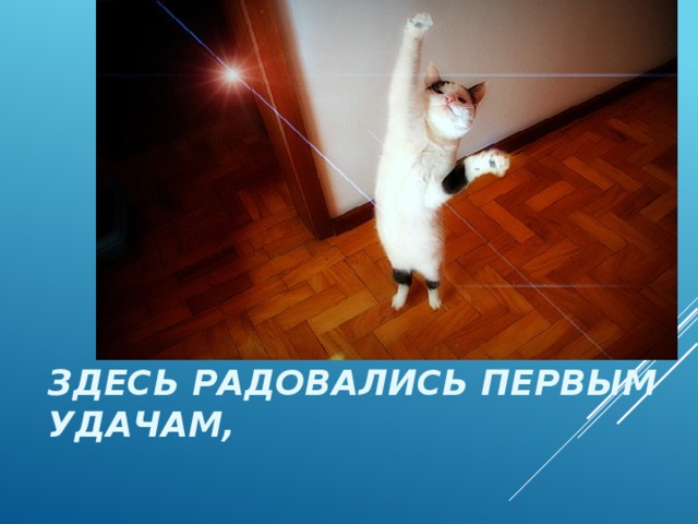 Здесь радовались первым удачам, 