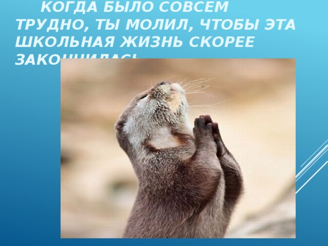 Когда было совсем трудно, ты молил, чтобы эта школьная жизнь скорее закончилась… 