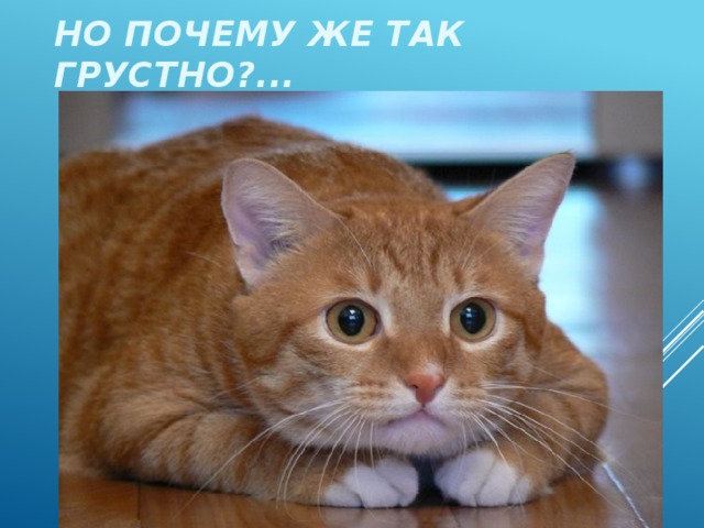 Но почему же так грустно?... 