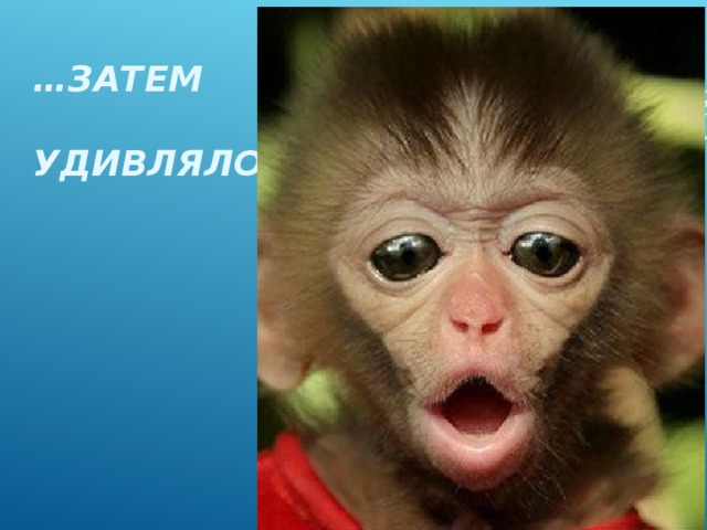 … затем   удивляло , 