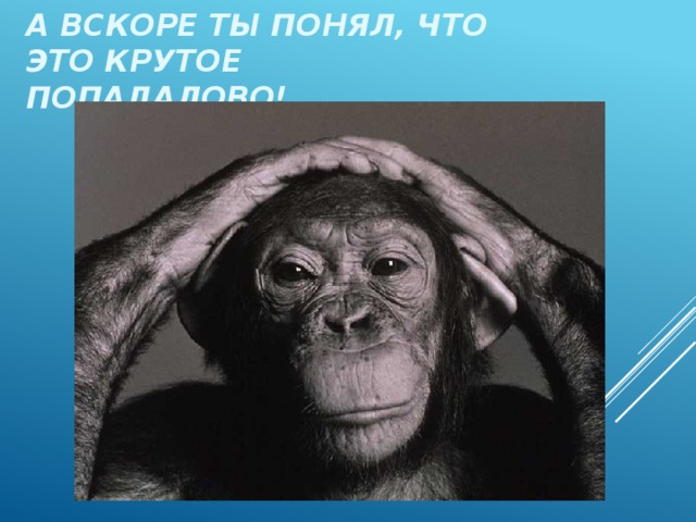 А вскоре ты понял, что это крутое попадалово!  