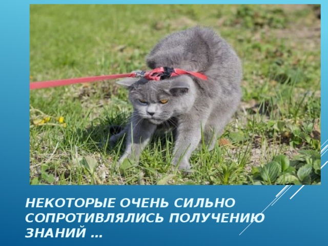 НЕКОТОРЫЕ ОЧЕНЬ СИЛЬНО СОПРОТИВЛЯЛИСЬ ПОЛУЧЕНИЮ ЗНАНИЙ … 