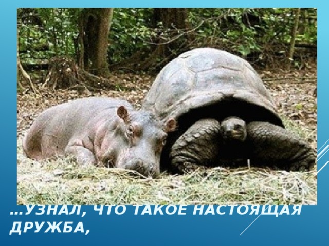 … узнал, что такое настоящая дружба, 