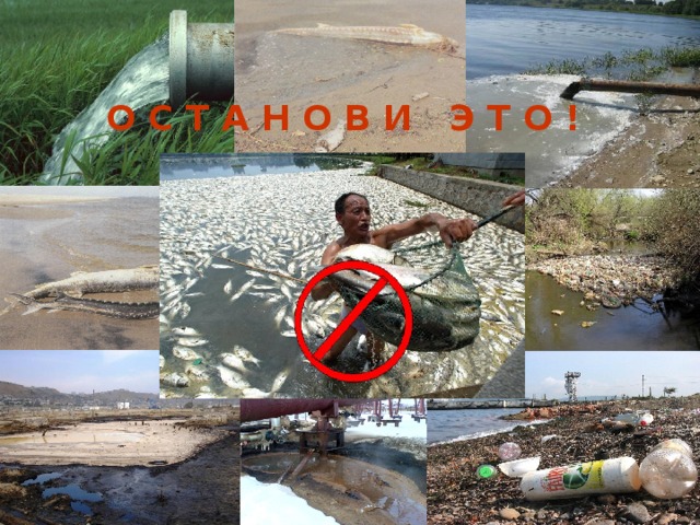 О С Т А Н О В И Э Т О ! 