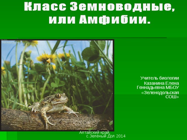 Учитель биологии Казанина Елена Геннадьевна МБОУ «Зеленодольская СОШ» Алтайский край, с.Зелёный Дол 2014