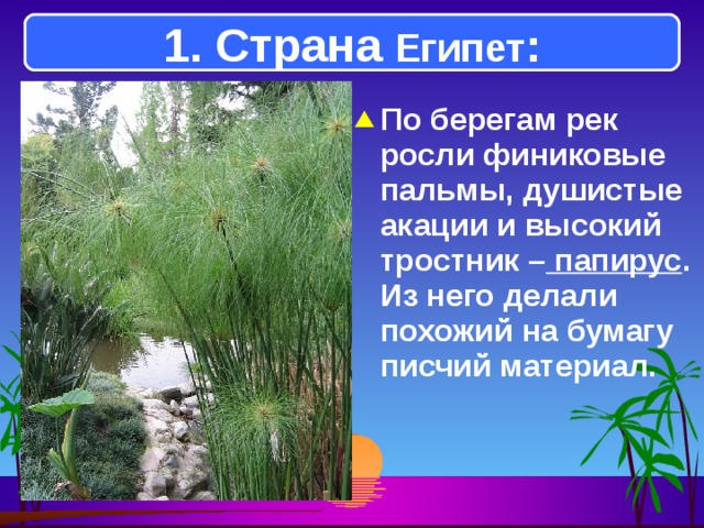 1. Страна Египет : По берегам рек росли финиковые пальмы, душистые акации и высокий тростник – папирус . Из него делали похожий на бумагу писчий материал. 