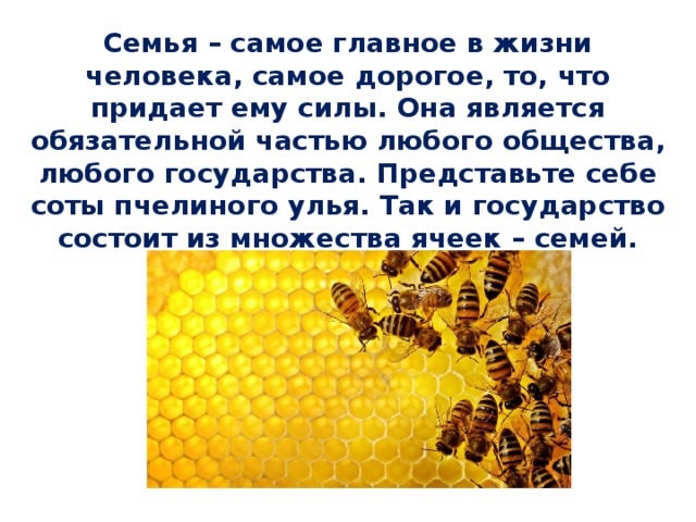 Семья – самое главное в жизни человека, самое дорогое, то, что придает ему силы. Она является обязательной частью любого общества, любого государства. Представьте себе соты пчелиного улья. Так и государство состоит из множества ячеек – семей. 