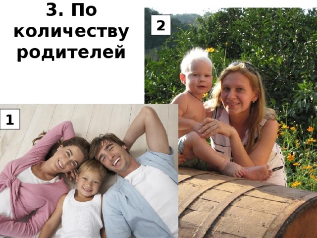 3. По количеству родителей 2 1 