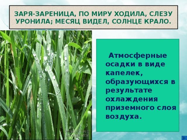 Заря-зареница, по миру ходила, слезу уронила; месяц видел, солнце крало.  Атмосферные осадки в виде капелек, образующихся в результате охлаждения приземного слоя воздуха. 