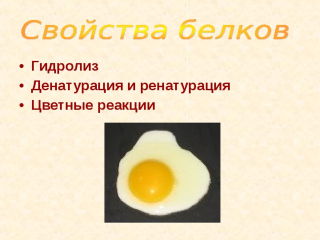 Гидролиз Денатурация и ренатурация Цветные реакции 