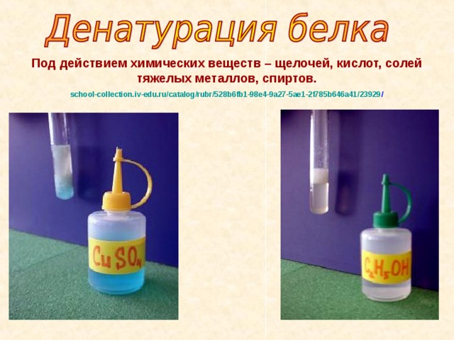 Под действием химических веществ – щелочей, кислот, солей тяжелых металлов, спиртов. school-collection.iv-edu.ru/catalog/rubr/528b6fb1-98e4-9a27-5ae1-2f785b646a41/23929 / 