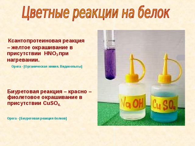  Ксантопротеиновая реакция – желтое окрашивание в присутствии Н NO 3  при нагревании.  Opera - [Органическая химия. Видеоопыты] Биуретовая реакция – красно – фиолетовое окрашивание в присутствии CuSO 4 .  Opera - [Биуретовая реакция белков] 