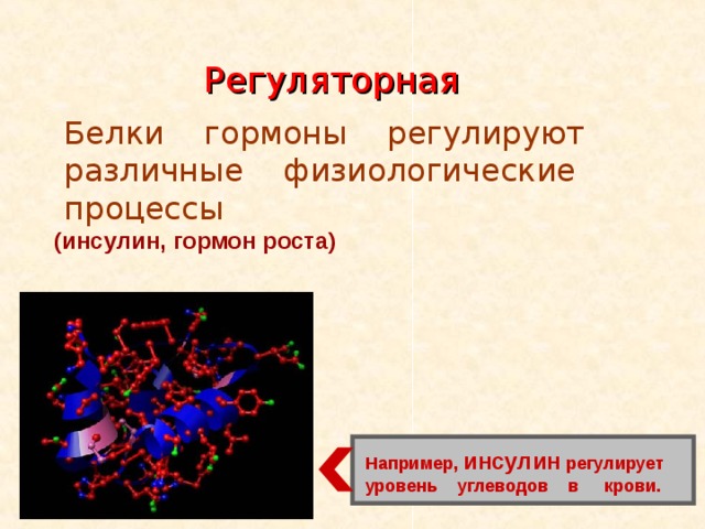 Регуляторная  Белки гормоны регулируют  различные физиологические  процессы (инсулин, гормон роста)  Например, инсулин регулирует уровень углеводов в крови. 