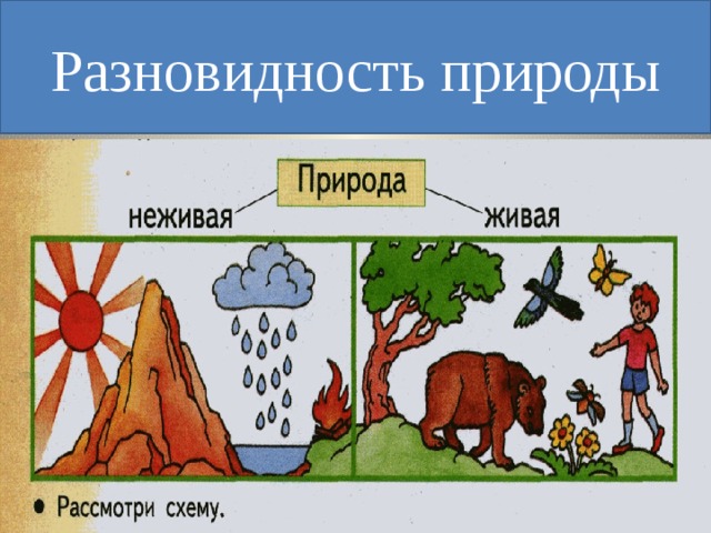 Разновидность природы 