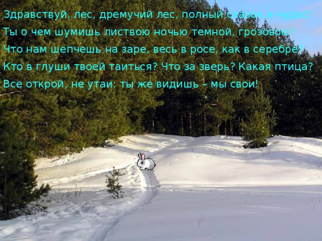Здравствуй, лес, дремучий лес, полный сказок и чудес! Ты о чем шумишь листвою ночью темной, грозовою? Что нам шепчешь на заре, весь в росе, как в серебре? Кто в глуши твоей таиться? Что за зверь? Какая птица? Все открой, не утаи: ты же видишь – мы свои! 