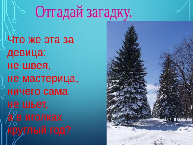 Что же эта за девица: не швея, не мастерица, ничего сама не шьет, а в иголках круглый год? 
