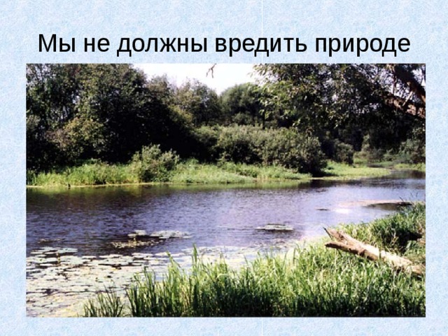 Мы не должны вредить природе 
