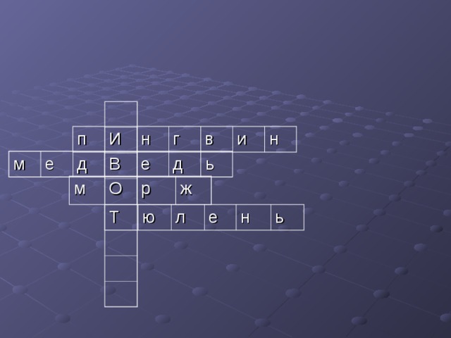 п И н г в и н м е д В е д ь м О р ж Т ю л е н ь 