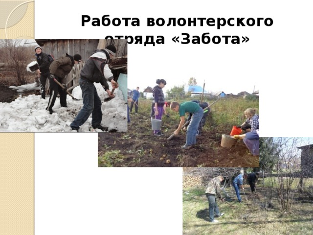 Работа волонтерского отряда «Забота» 