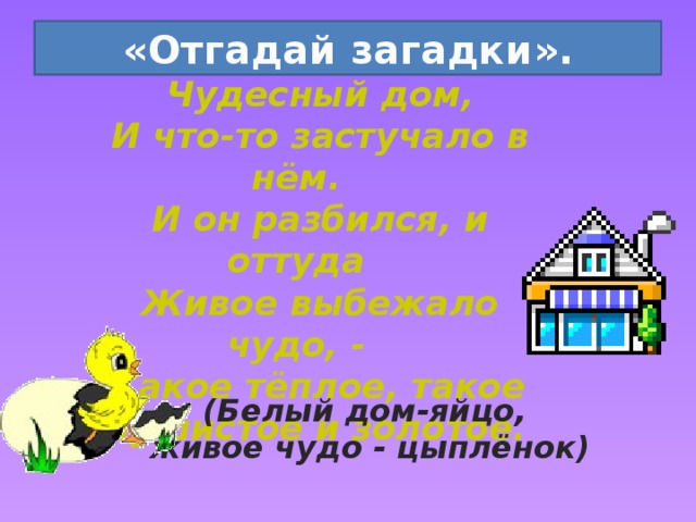 «Отгадай загадки».  Был белый дом,  Чудесный дом,  И что-то застучало в нём.  И он разбился, и оттуда  Живое выбежало чудо, -  Такое тёплое, такое  Пушистое и золотое. (Белый дом-яйцо,  живое чудо - цыплёнок) 