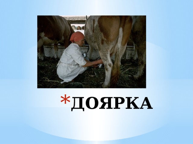 ДОЯРКА 