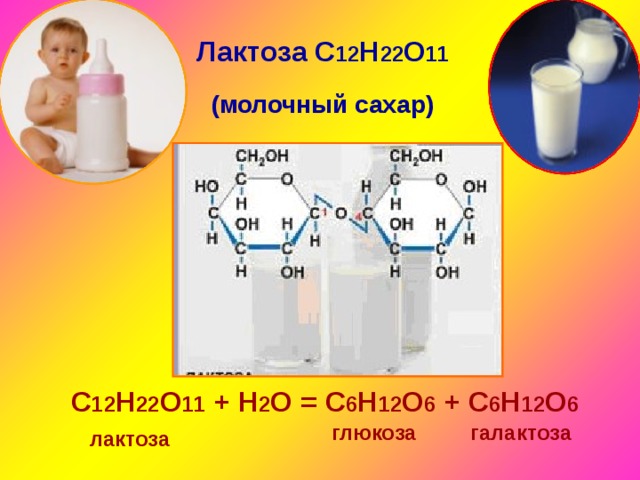 Лактоза С 12 Н 22 О 11 (молочный сахар) С 12 Н 22 О 11 + Н 2 О = С 6 Н 12 О 6 + С 6 Н 12 О 6 глюкоза галактоза лактоза 