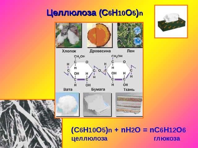 Целлюлоза (С 6 Н 10 О 5 ) n (C 6 H 10 O 5 ) n + nH 2 O = nC 6 H 12 O 6 целлюлоза глюкоза 