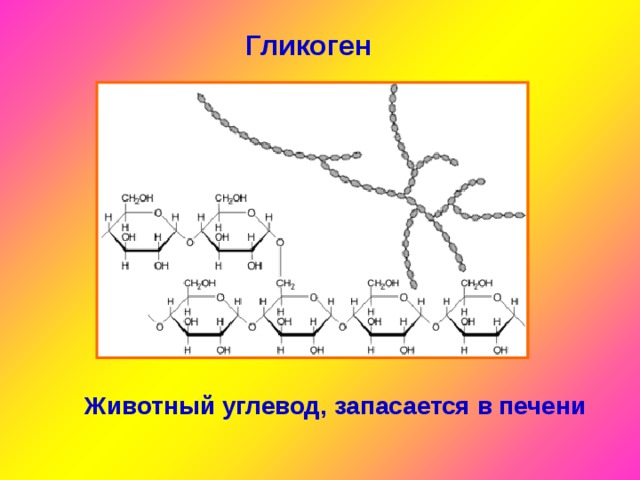 Гликоген Животный углевод, запасается в печени 