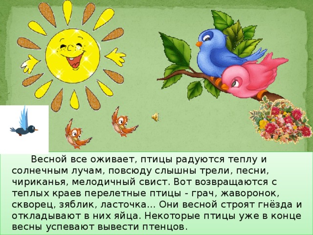  Весной все оживает, птицы радуются теплу и солнечным лучам, повсюду слышны трели, песни, чириканья, мелодичный свист. Вот возвращаются с теплых краев перелетные птицы - грач, жаворонок, скворец, зяблик, ласточка... Они весной строят гнёзда и откладывают в них яйца. Некоторые птицы уже в конце весны успевают вывести птенцов. 