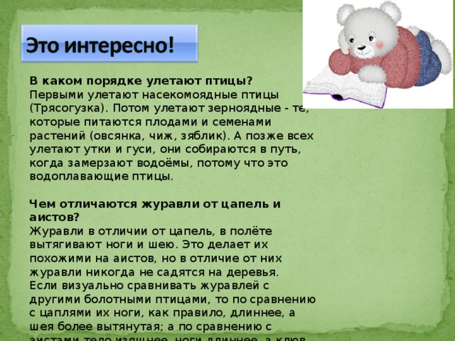 В каком порядке улетают птицы?  Первыми улетают насекомоядные птицы (Трясогузка). Потом улетают зерноядные - те, которые питаются плодами и семенами растений (овсянка, чиж, зяблик). А позже всех улетают утки и гуси, они собираются в путь, когда замерзают водоёмы, потому что это водоплавающие птицы. Чем отличаются журавли от цапель и аистов?  Журавли в отличии от цапель, в полёте вытягивают ноги и шею. Это делает их похожими на аистов, но в отличие от них журавли никогда не садятся на деревья.  Если визуально сравнивать журавлей с другими болотными птицами, то по сравнению с цаплями их ноги, как правило, длиннее, а шея более вытянутая; а по сравнению с аистами тело изящнее, ноги длиннее, а клюв пропорционально меньше. 
