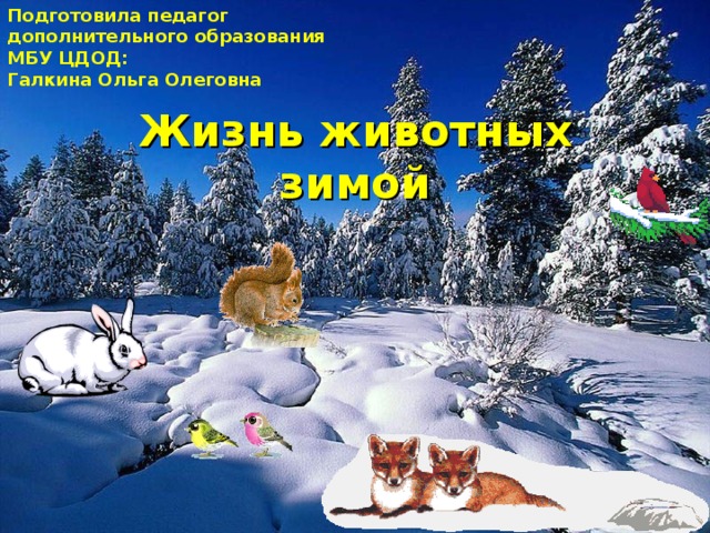Подготовила педагог дополнительного образования МБУ ЦДОД: Галкина Ольга Олеговна Жизнь животных зимой 
