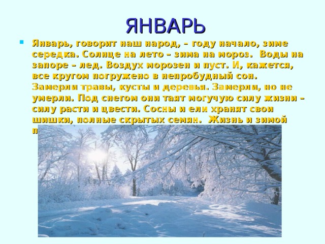 ЯНВАРЬ Январь, говорит наш народ, – году начало, зиме середка. Солнце на лето – зима на мороз. Воды на запоре – лед. Воздух морозен и пуст. И, кажется, все кругом погружено в непробудный сон. Замерли травы, кусты и деревья. Замерли, но не умерли. Под снегом они таят могучую силу жизни – силу расти и цвести. Сосны и ели хранят свои шишки, полные скрытых семян. Жизнь и зимой продолжается. 