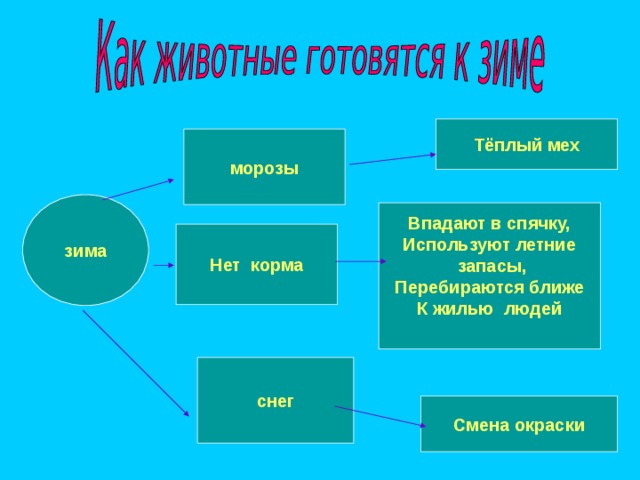 Тёплый мех морозы зима Впадают в спячку, Используют летние  запасы, Перебираются ближе К жилью людей  Нет корма снег Смена окраски 