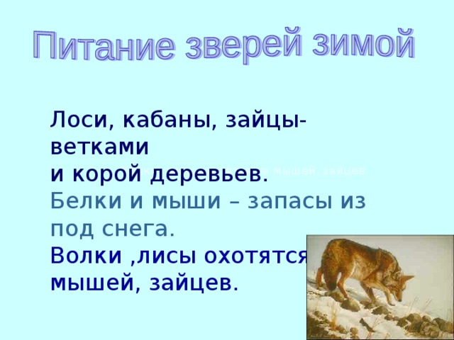 Лоси, кабаны, зайцы- ветками и корой деревьев. Белки и мыши – запасы из под снега. Волки ,лисы охотятся на мышей, зайцев. Волки, лисы охотятся на мышей, зайцев 
