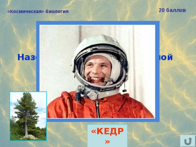 20 баллов «Космическая» биология Назовите «хвойный» позывной Юрия Гагарина.  «КЕДР» 