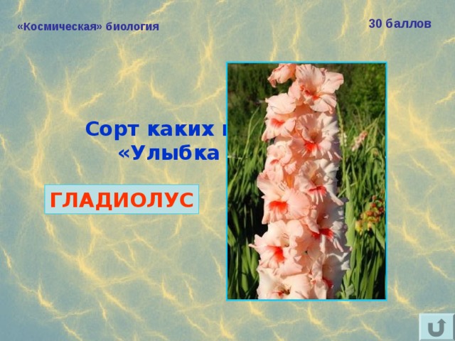 30 баллов «Космическая» биология Сорт каких цветов назван  «Улыбка Гагарина»?  ГЛАДИОЛУС 
