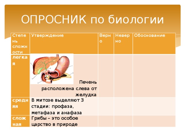 ОПРОСНИК по биологии Степень сложности Утверждение легкая Верно средняя Неверно В митозе выделяют 3 стадии: профаза, метафаза и анафаза сложная   Грибы – это особое царство в природе       Обоснование          Печень расположена слева от желудка       