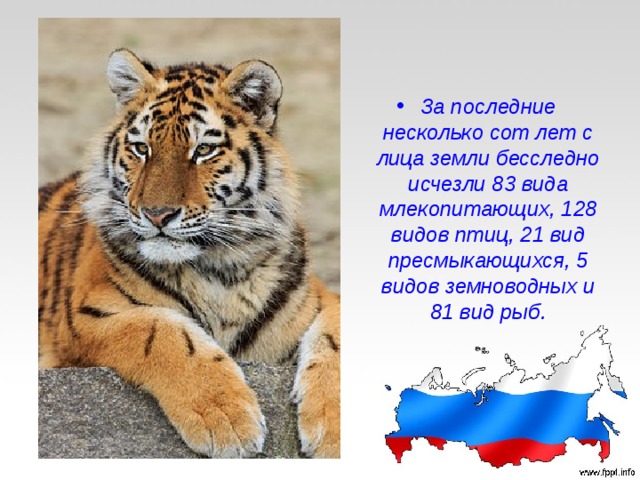 За последние несколько сот лет с лица земли бесследно исчезли 83 вида млекопитающих, 128 видов птиц, 21 вид пресмыкающихся, 5 видов земноводных и 81 вид рыб. 