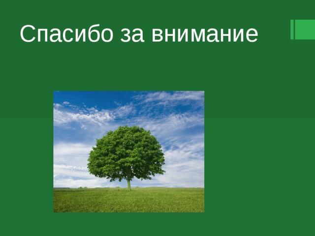 Спасибо за внимание   