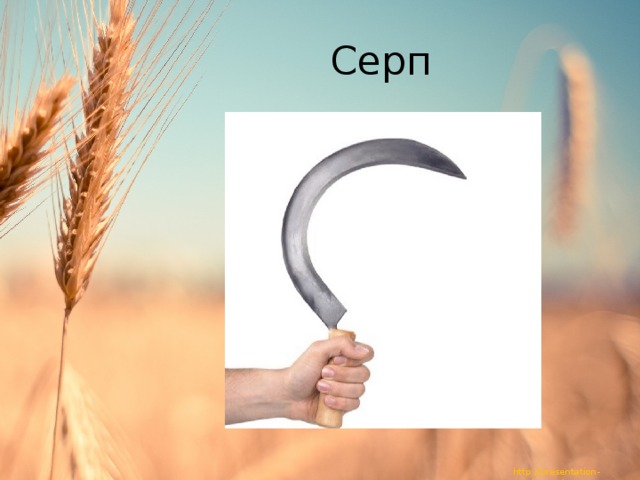Серп 