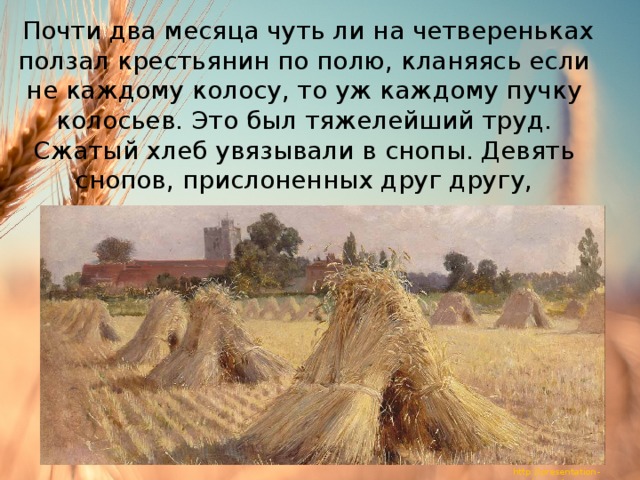     Почти два месяца чуть ли на четвереньках ползал крестьянин по полю, кланяясь если не каждому колосу, то уж каждому пучку колосьев. Это был тяжелейший труд. Сжатый хлеб увязывали в снопы. Девять снопов, прислоненных друг другу, накрытые десятым, ставились в суслон 