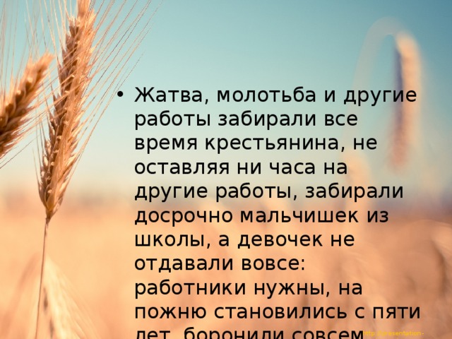 Жатва, молотьба и другие работы забирали все время крестьянина, не оставляя ни часа на другие работы, забирали досрочно мальчишек из школы, а девочек не отдавали вовсе: работники нужны, на пожню становились с пяти лет, боронили совсем крошки. 